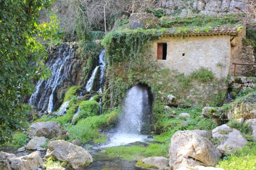 La biodiversità del Cilento nelle grotte oasi Wwf di Morigerati