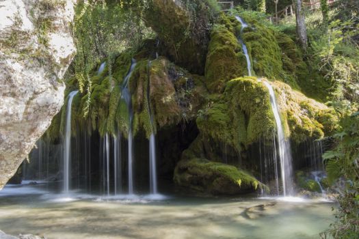 Cilento, Capelli di Venere: l’oasi di muschi e cascate che incanta i turisti